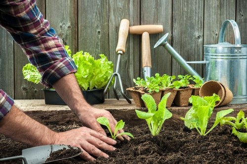 Structured complaint assessment for local gardening work