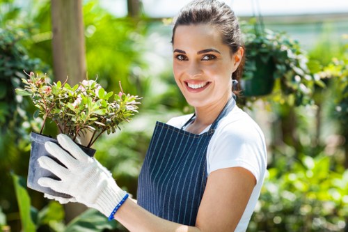 Responsible garden waste removal in Maze Hill