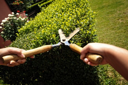 UK governing law and waste regulation information for gardeners