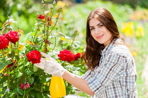 Professional lawn maintenance in Maze Hill with mowing and feeding