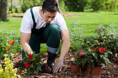 Graphic representing screen-reader support on Gardeners Maze Hill pages