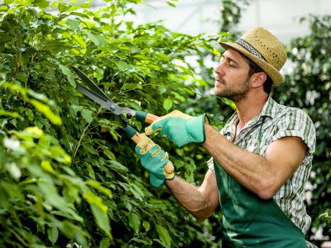 Reusable garden materials prepared for charity partnerships