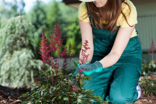 Professional gardeners in Maze Hill following a structured risk assessment process