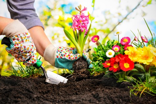 Gardeners in Maze Hill providing thoughtful outdoor maintenance