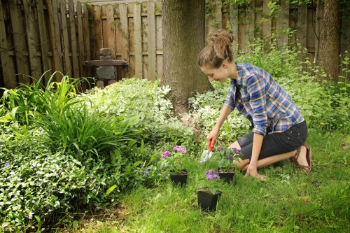 Maze Hill gardener trimming hedges and caring for borders