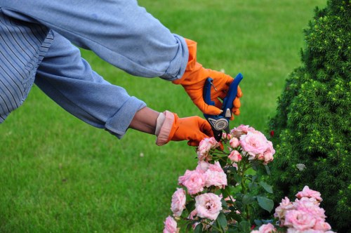 Example garden clearance jobs for flats, terraces, and busy local properties