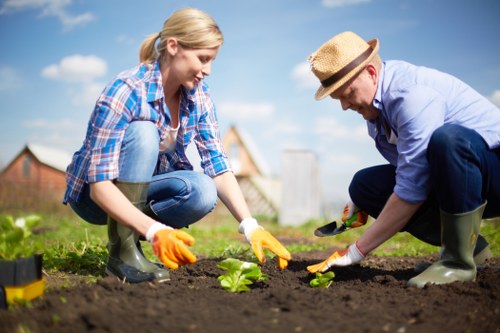 Safety-focused gardening work with tools and protective practices in Maze Hill