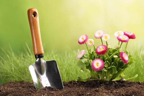 Stump grinding and tree removal aftercare in Maze Hill