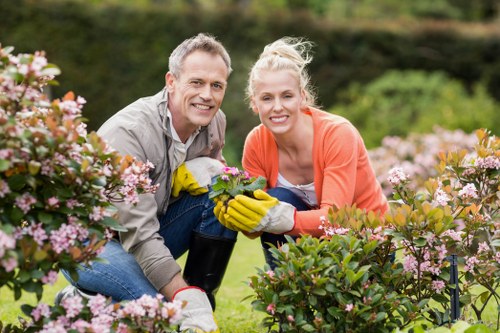 Front garden landscaping in Maze Hill with neat paving and decorative plants