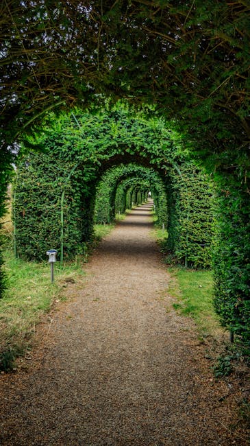 A neatly manicured garden featuring multiple layers of low, dense evergreen hedges with bright green foliage, arranged in curving, geometric patterns that create defined borders and pathways. Small or